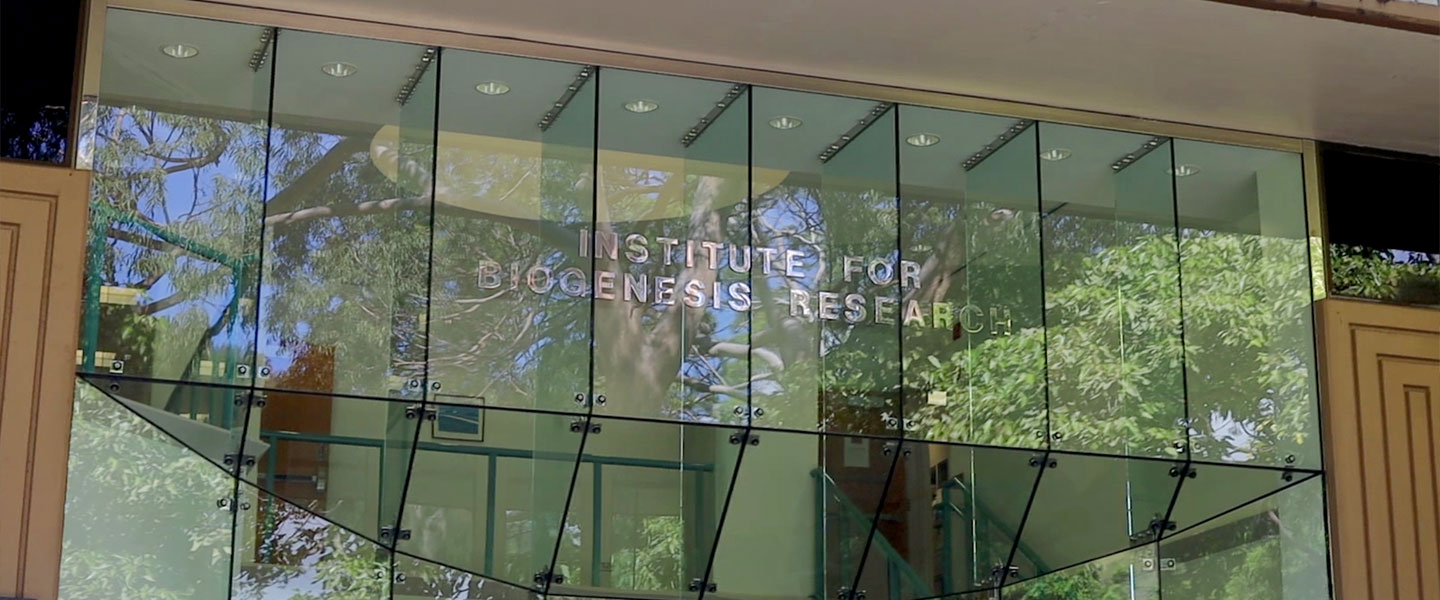 building-ibr.jpg